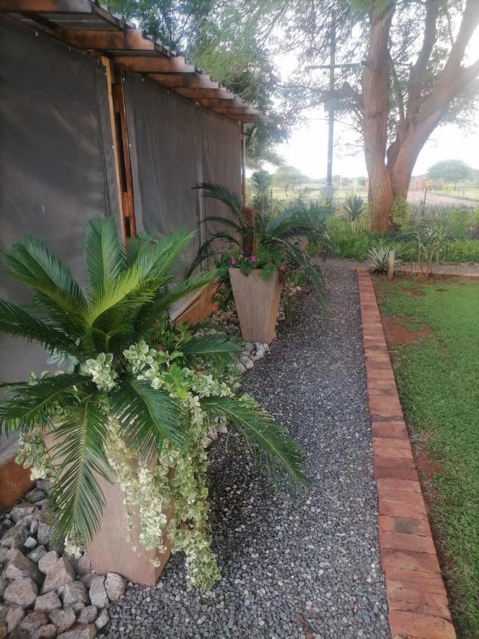 Ndlovu Guesthouse Northam Exterior photo